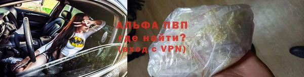 прущие грибы Карпинск