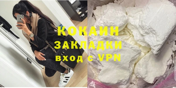 прущие грибы Карпинск