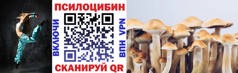 Галлюциногенные грибы Psilocybe  Лосино-Петровский 